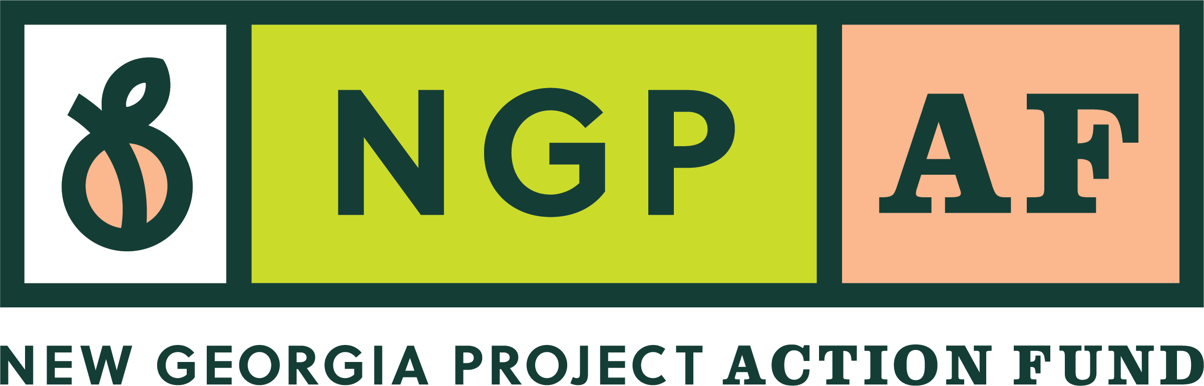The New Georgia Project Action Fund